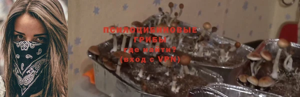 соль ск Белоозёрский