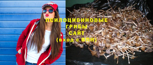 соль ск Белоозёрский