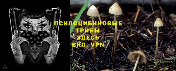 спайс Беломорск