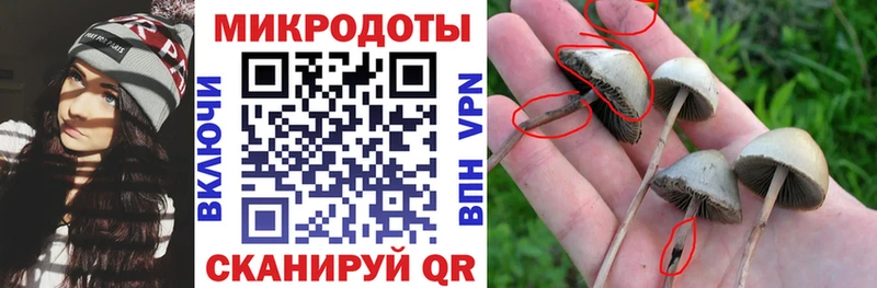 Псилоцибиновые грибы прущие грибы  наркошоп  Нефтекумск 